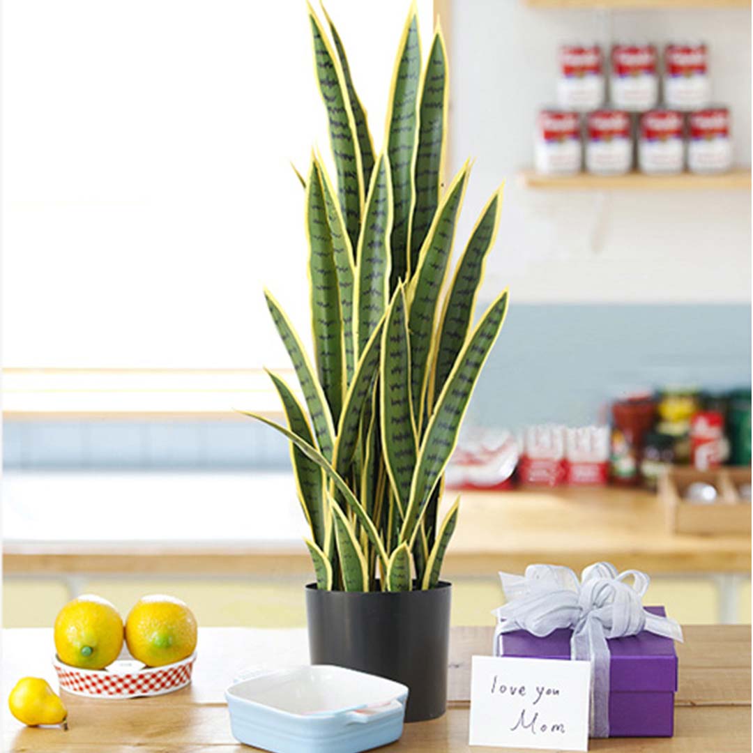 SOGA 50cm Artificial Indoor Yellow Edge Tiger Piran Fake Decoration Tree Flower Pot Plant