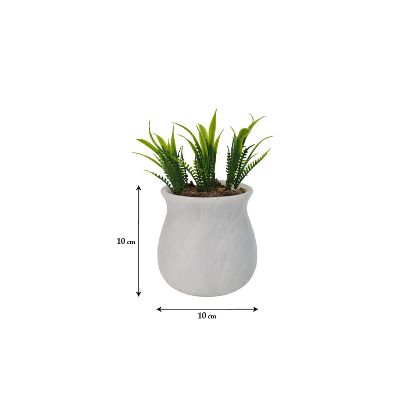 Marble Planter Pots