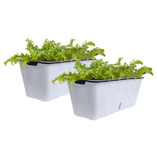 SOGA 2X 50 cm White Rectangular Flowerpot Vegetable Herb Flower Outdoor Plastic Box Garden Decor
