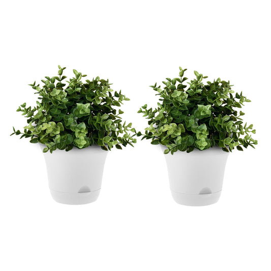SOGA 19.5cm White Plastic Plant Pot Self Watering Planter Flower Bonsai Indoor Outdoor Garden Decor Set of 2