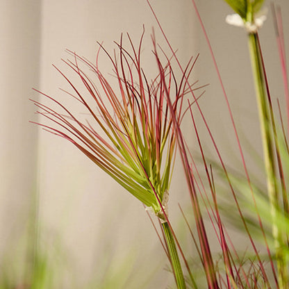 SOGA 2X 120cm Purple-Red Artificial Indoor Potted Papyrus Plant Tree Fake Simulation Decorative