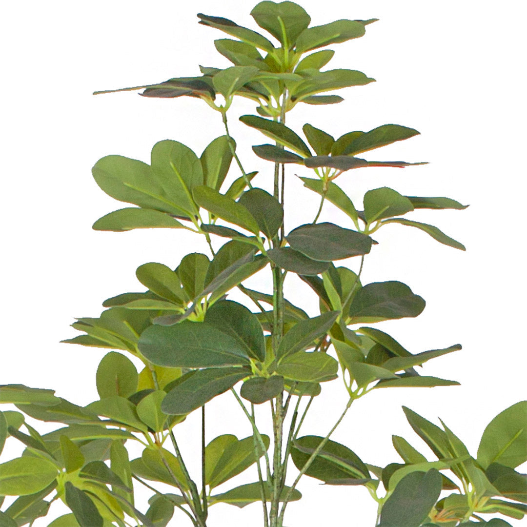SOGA 2X 160cm Artificial Natural Green Schefflera Dwarf Umbrella Tree Fake Tropical Indoor Plant Home Office Decor