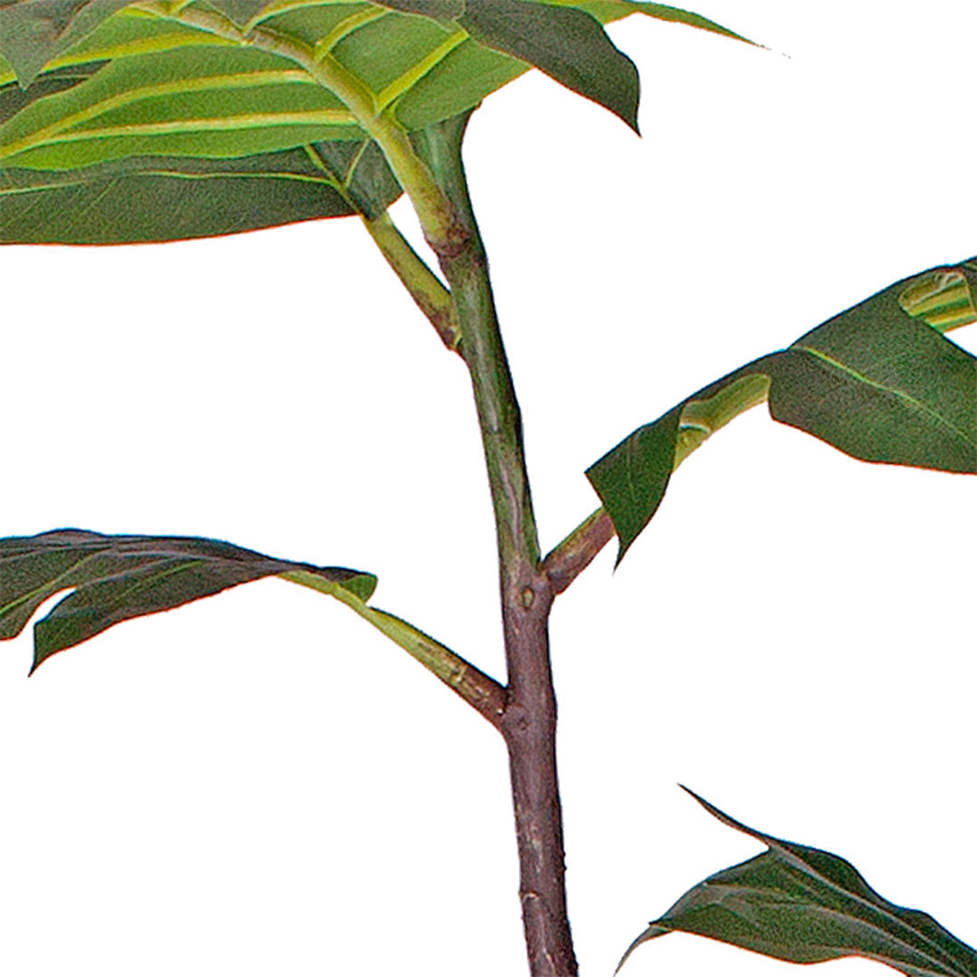 SOGA 2X 120cm Artificial Natural Green Split-Leaf Philodendron Tree Fake Tropical Indoor Plant Home Office Decor