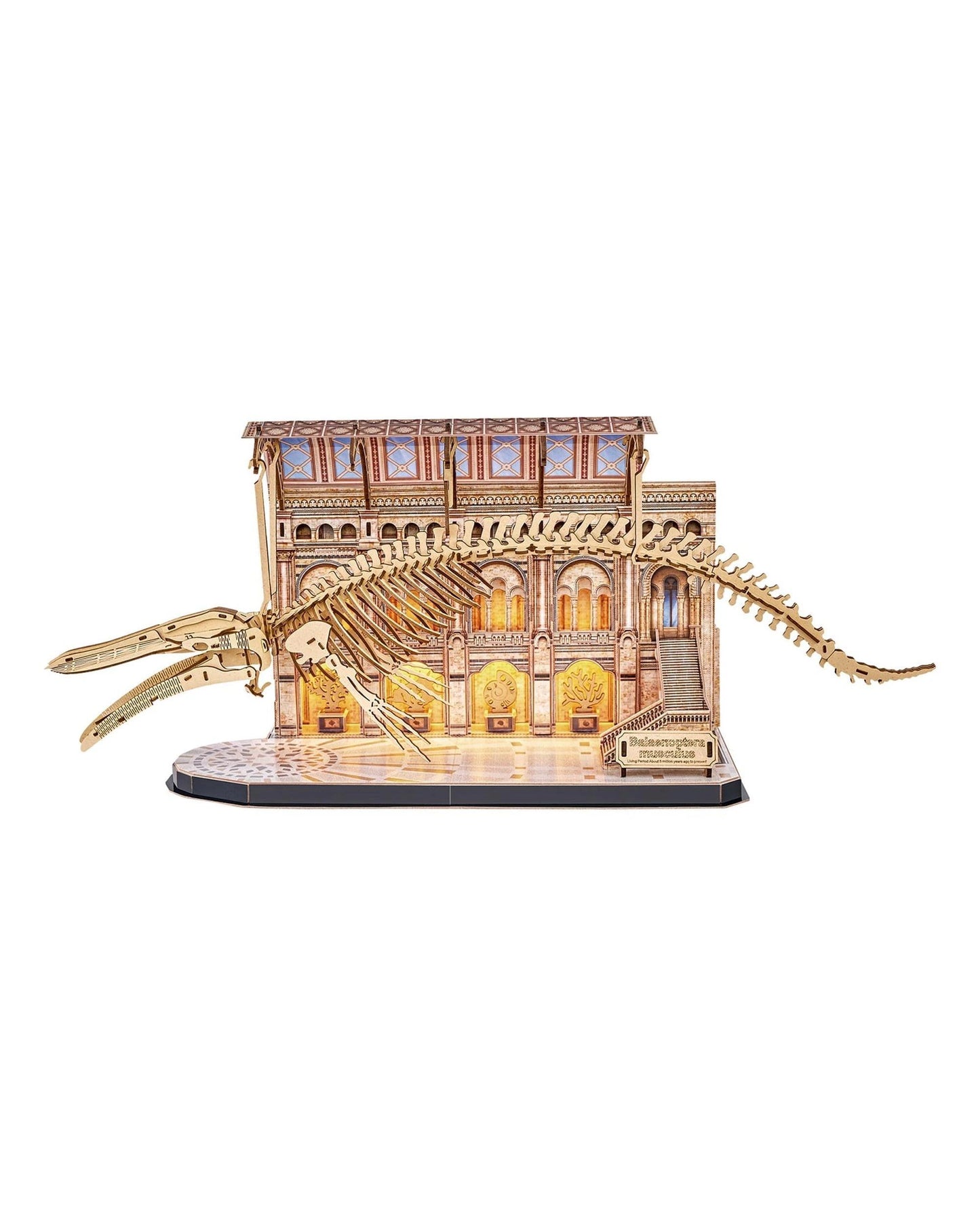 CubicFun LED Natural Museum Balaenoptera Musculus Blue Whale 222 Piece 3D Puzzle Model Kit