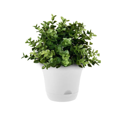 SOGA 19.5cm White Plastic Plant Pot Self Watering Planter Flower Bonsai Indoor Outdoor Garden Decor Set of 2