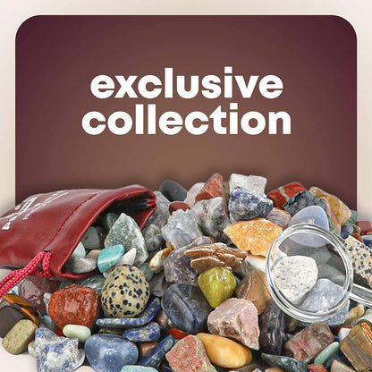 Dan &amp; Darci Mega Rock &amp; Mineral Collection Activity Kit