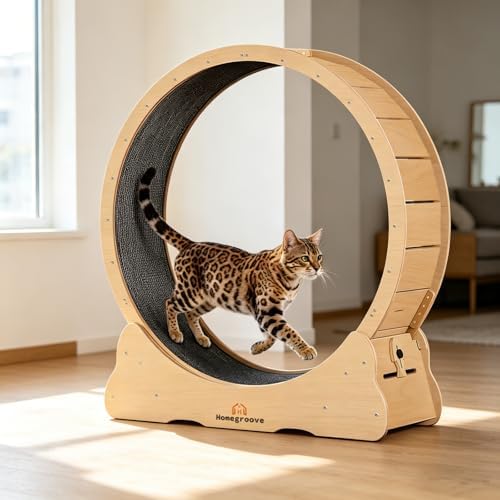 PurrTrek 45 inch Cat Exercise Wheel view 10