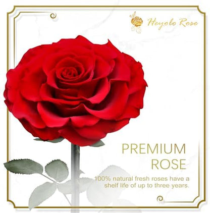 Preserved rose gift detail
