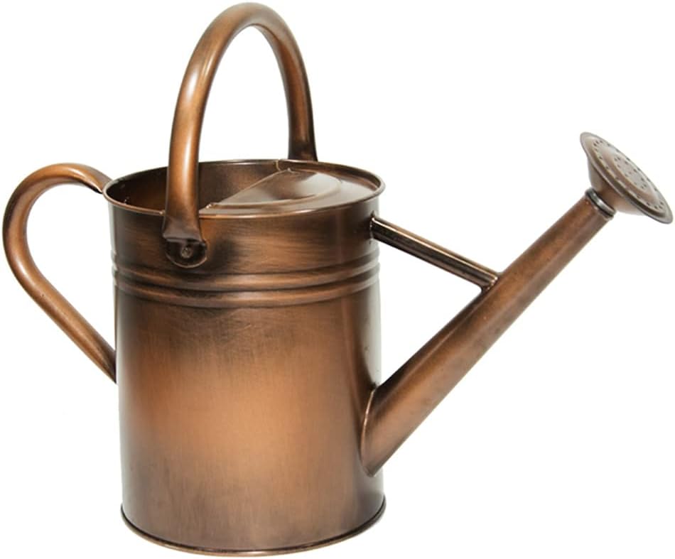 Sliver Galvanized Steel Watering Can with Copper Accents