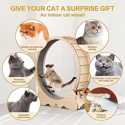 PurrTrek 48 inch Cat Exercise Wheel view 10