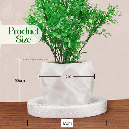Marble Planter Pineapple Design - 10cm