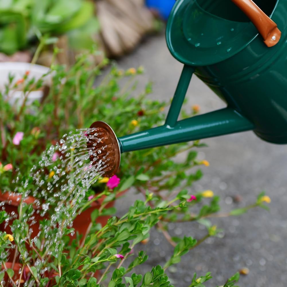 Steel Watering Can Sliver Galvanized Steel Watering Can with