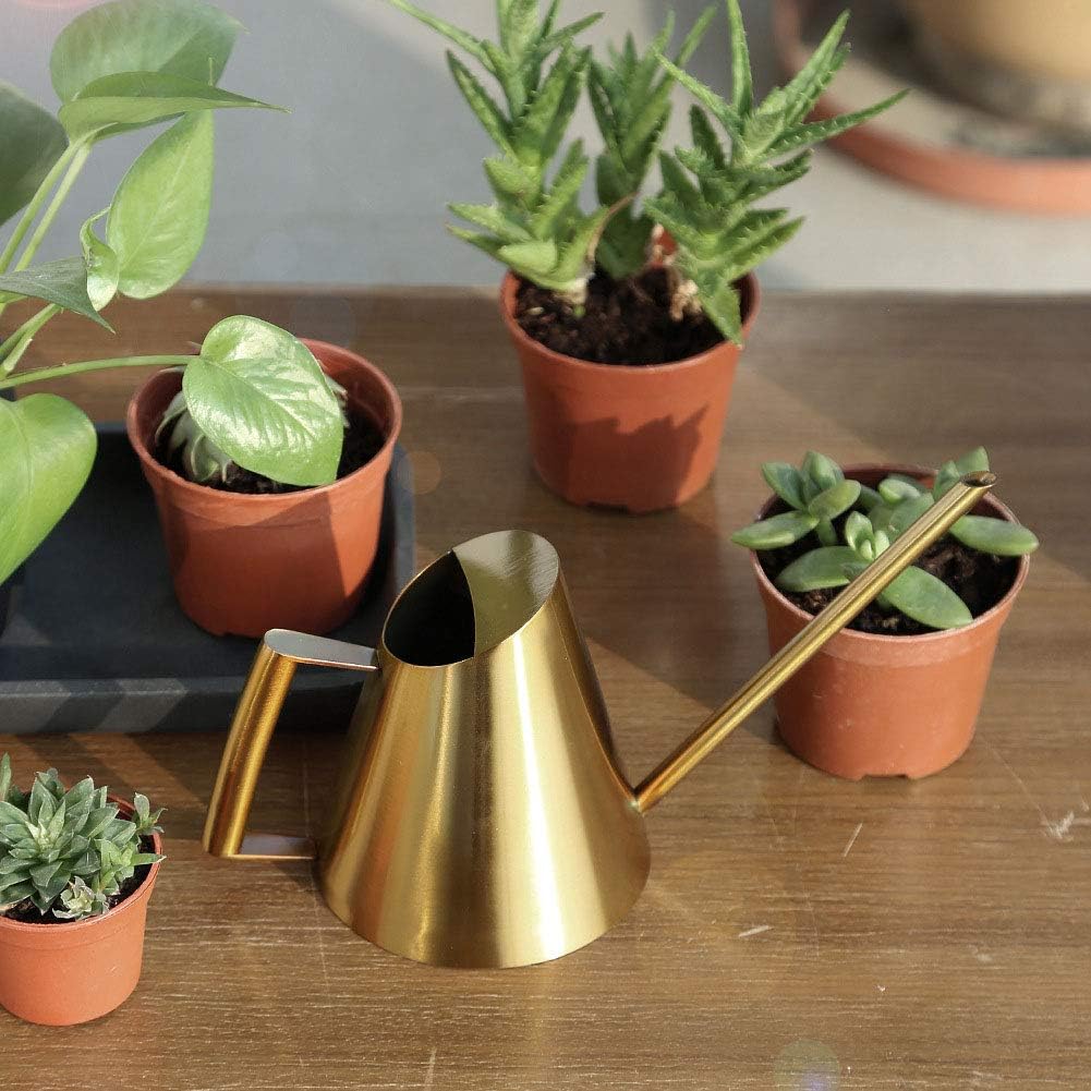 Long Gold Stainless Steel Watering Can (1500ml) - Sprinkle P