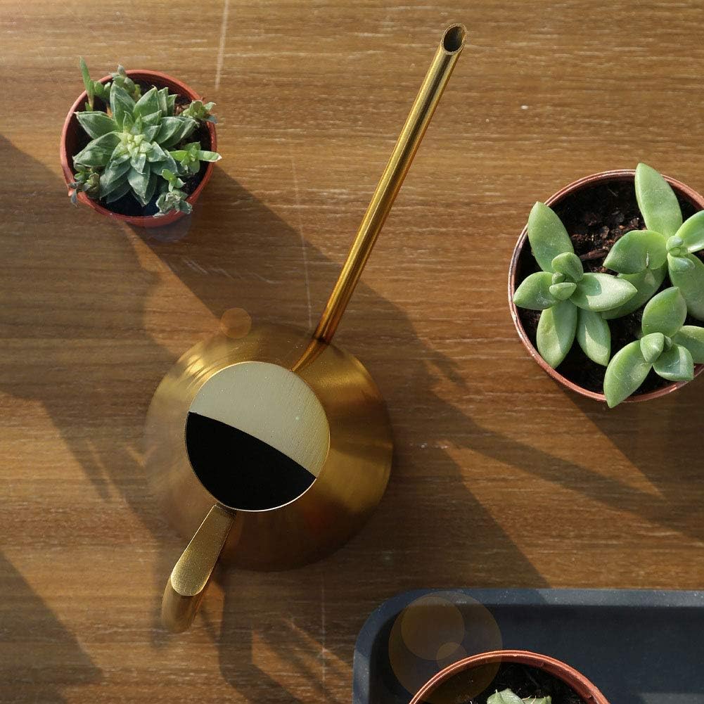 Long Gold Stainless Steel Watering Can (1500ml) - Sprinkle P