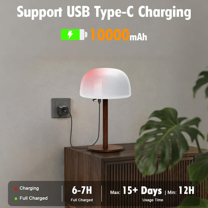 IP65 Waterproof Shower Lamp 10000mAh Rechargeable Shower Bat