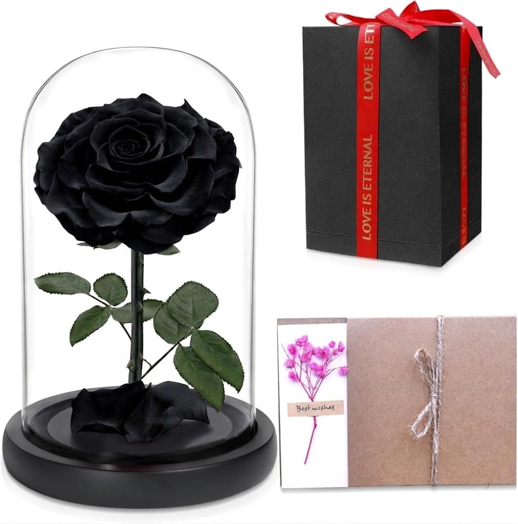 Black — Single Rose — preserved rose in glass dome