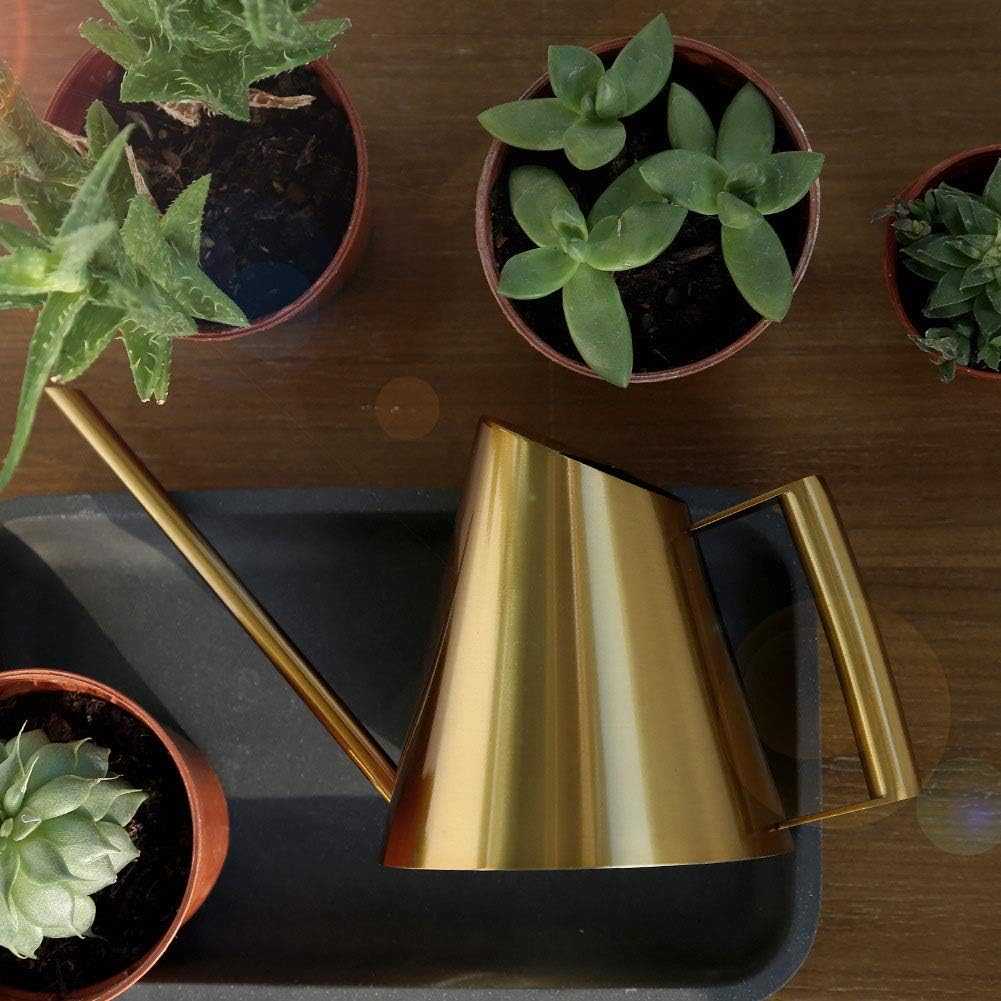 Long Gold Stainless Steel Watering Can (1500ml) - Sprinkle P