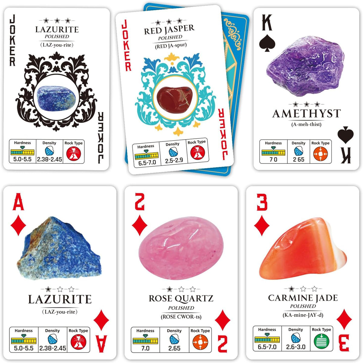 PIBEX Rock Collection Starter Kit