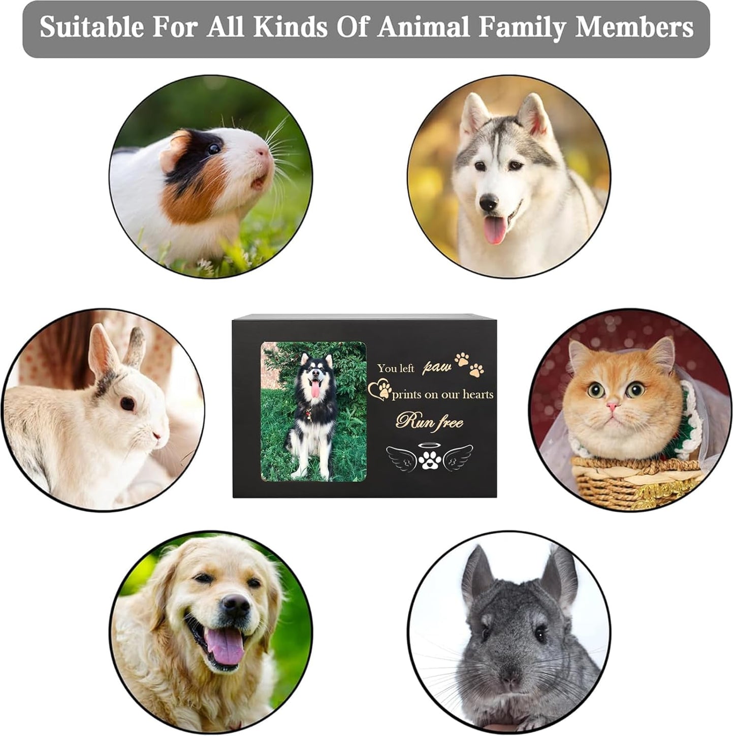 Large Pet Memorial Urn Box (18x12x12 cm), Wooden Cremation Keepsake with Photo Frame for Dog & Cat Ashes