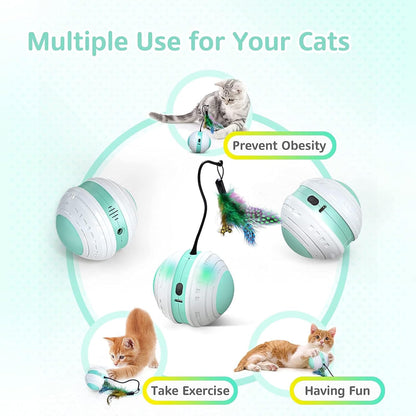 Interactive Cat Toys, 360 Degree Self Rotating Feather Robotic Cat Ball, USB Rechargeable Electric Kitten Toys with LED Lights and Funny Bird Sound for Indoor Cats/Pets