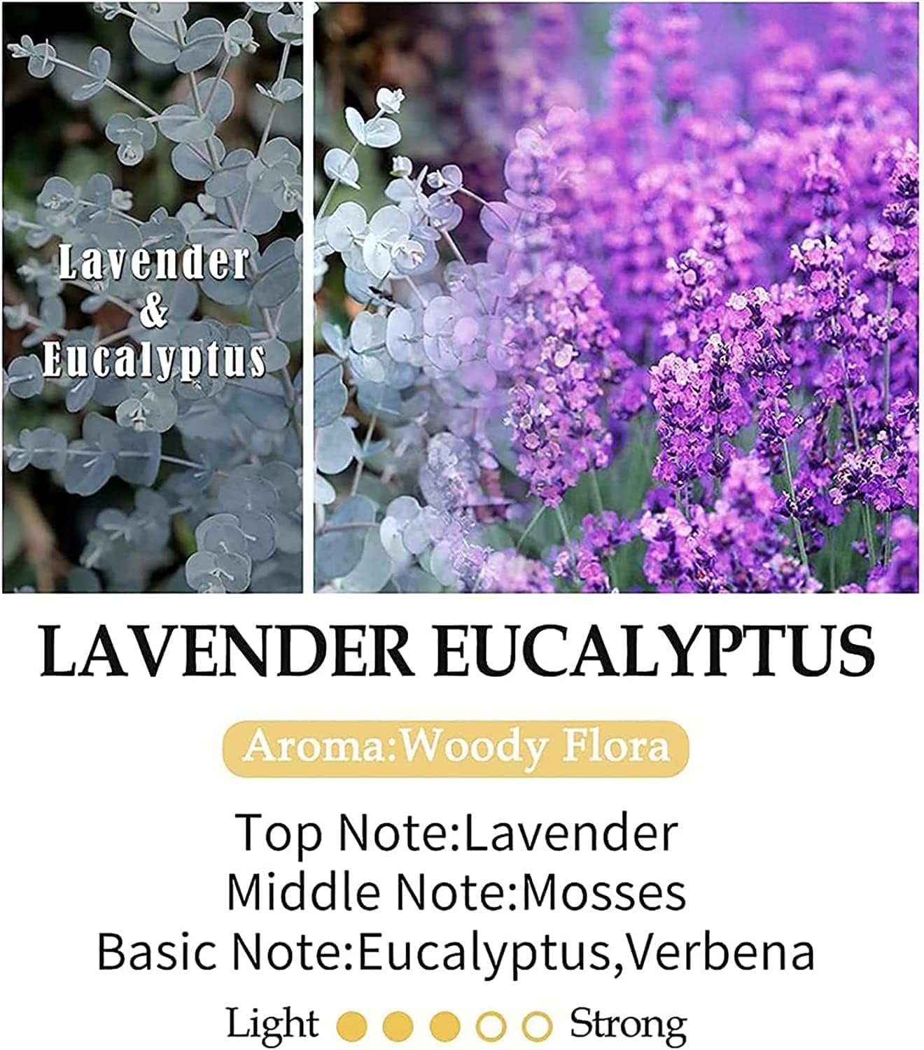 Scented Candles, Highly Scented, Natural Wax, 40 Hours Long Burning, Aromatherapy Candles with Aesthetic Amber Glass, Clean Delicate Fruity Scent for Calming & Stress Relief(Lavender Eucalyptus)