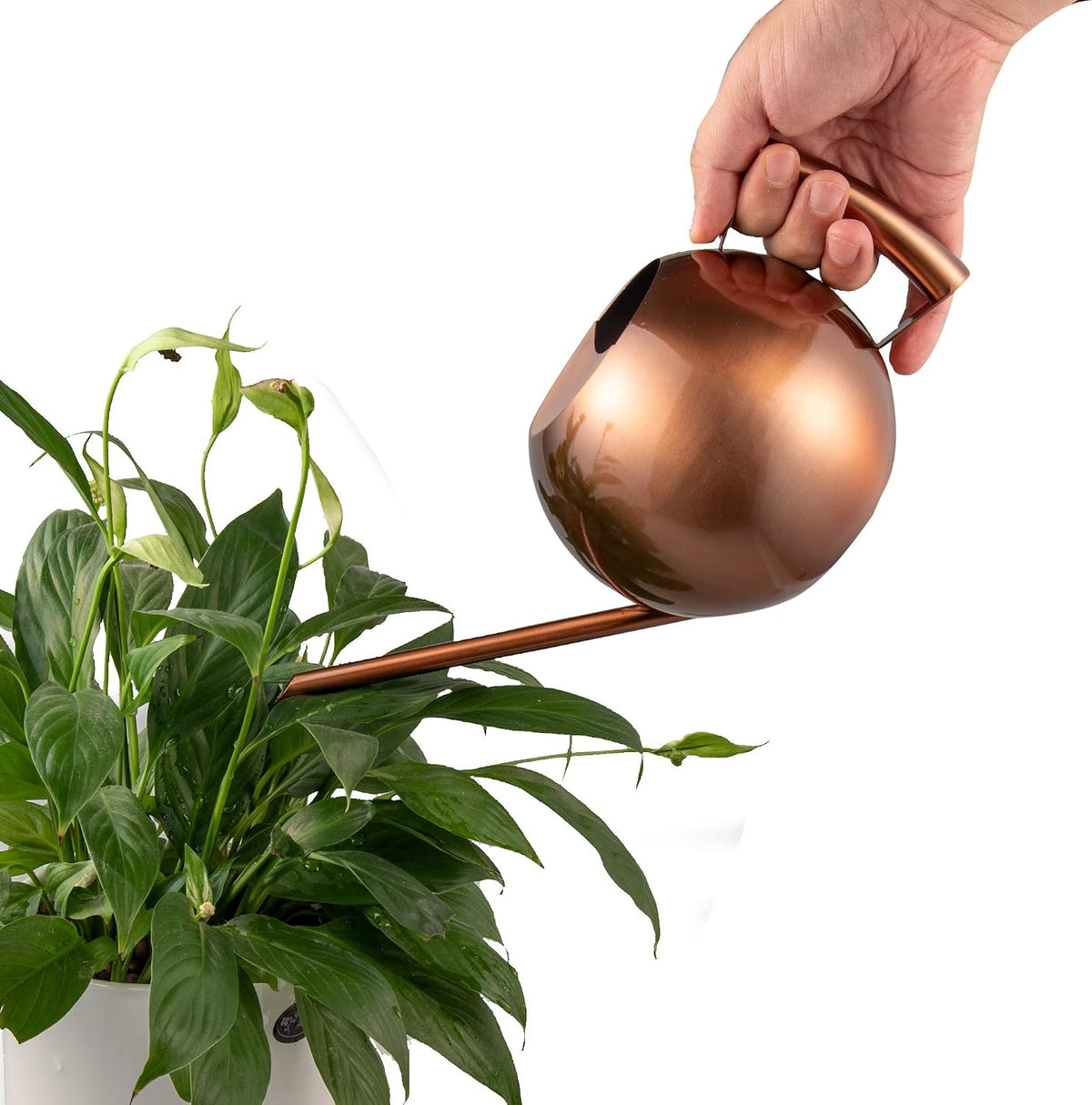 IMEEA 45oz/1.3L Watering Can Indoor for House Plants Long Sp