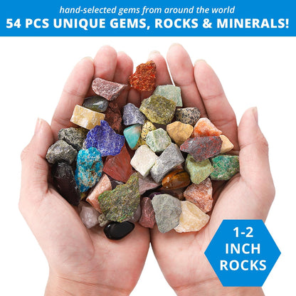 PIBEX Rock Collection Starter Kit