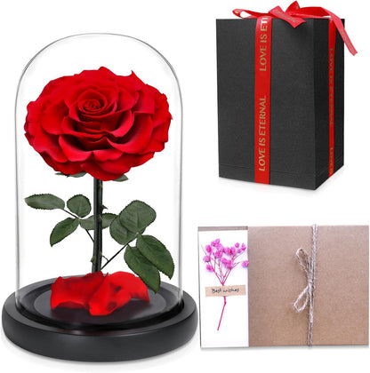 Red — Single Rose — preserved rose in glass dome