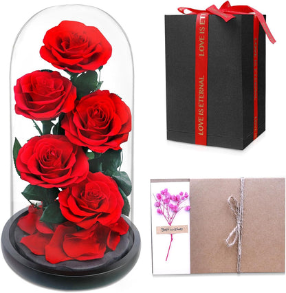 Red — 5 Roses — preserved rose in glass dome