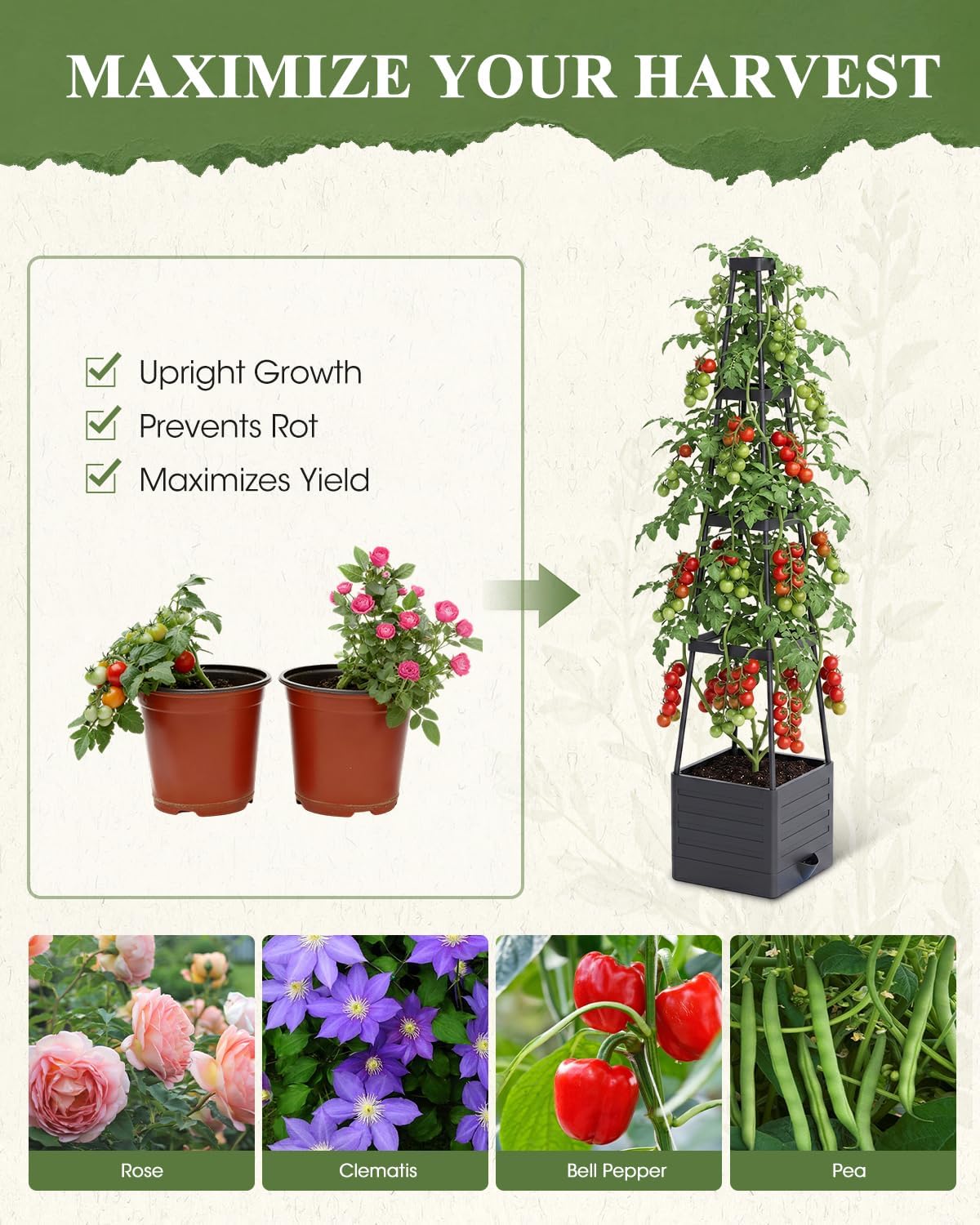 Raised Garden Bed Planter Box with Trellis