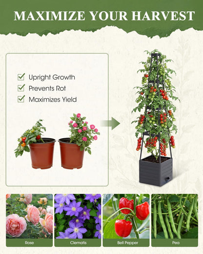 Raised Garden Bed Planter Box with Trellis