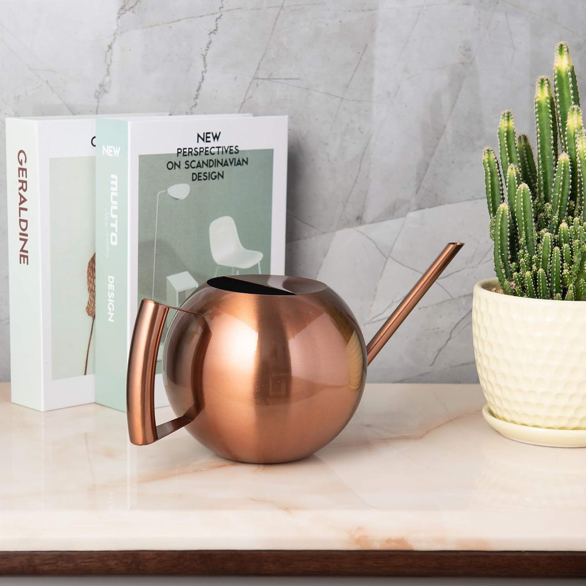 IMEEA 45oz/1.3L Watering Can Indoor for House Plants Long Sp