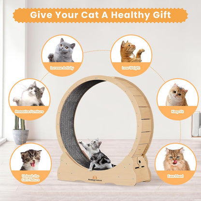 PurrTrek 45 inch Cat Exercise Wheel view 6
