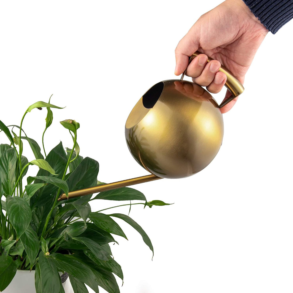 IMEEA 45oz/1.3L Watering Can Indoor Stainless Steel Watering