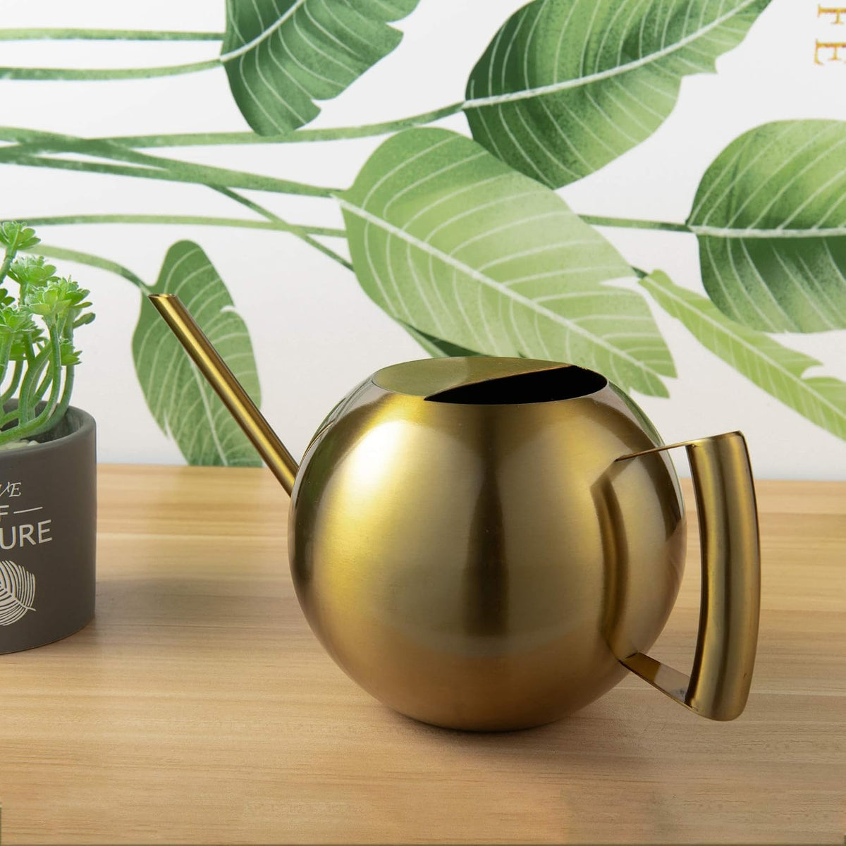 IMEEA 45oz/1.3L Watering Can Indoor Stainless Steel Watering
