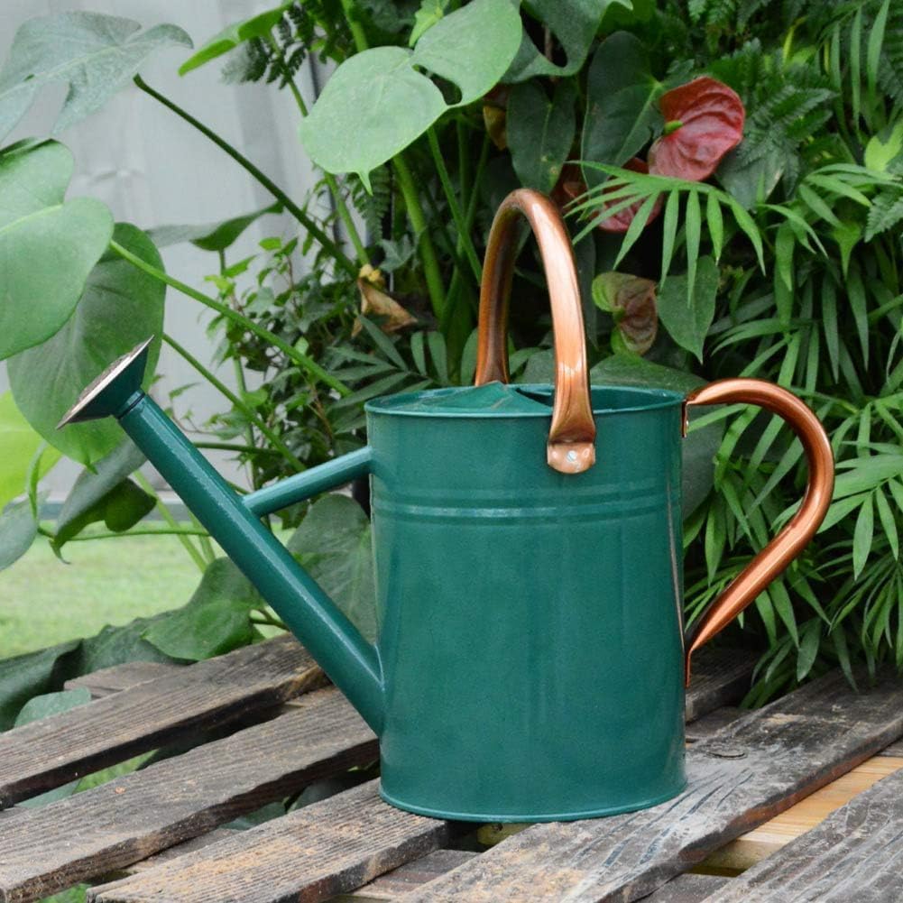 Steel Watering Can Sliver Galvanized Steel Watering Can with