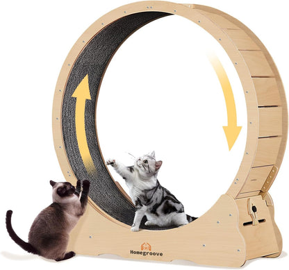 PurrTrek 45 inch Cat Exercise Wheel view 9