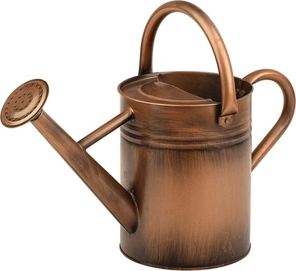 Metal Watering Can for Outdoor and Indoor Plants