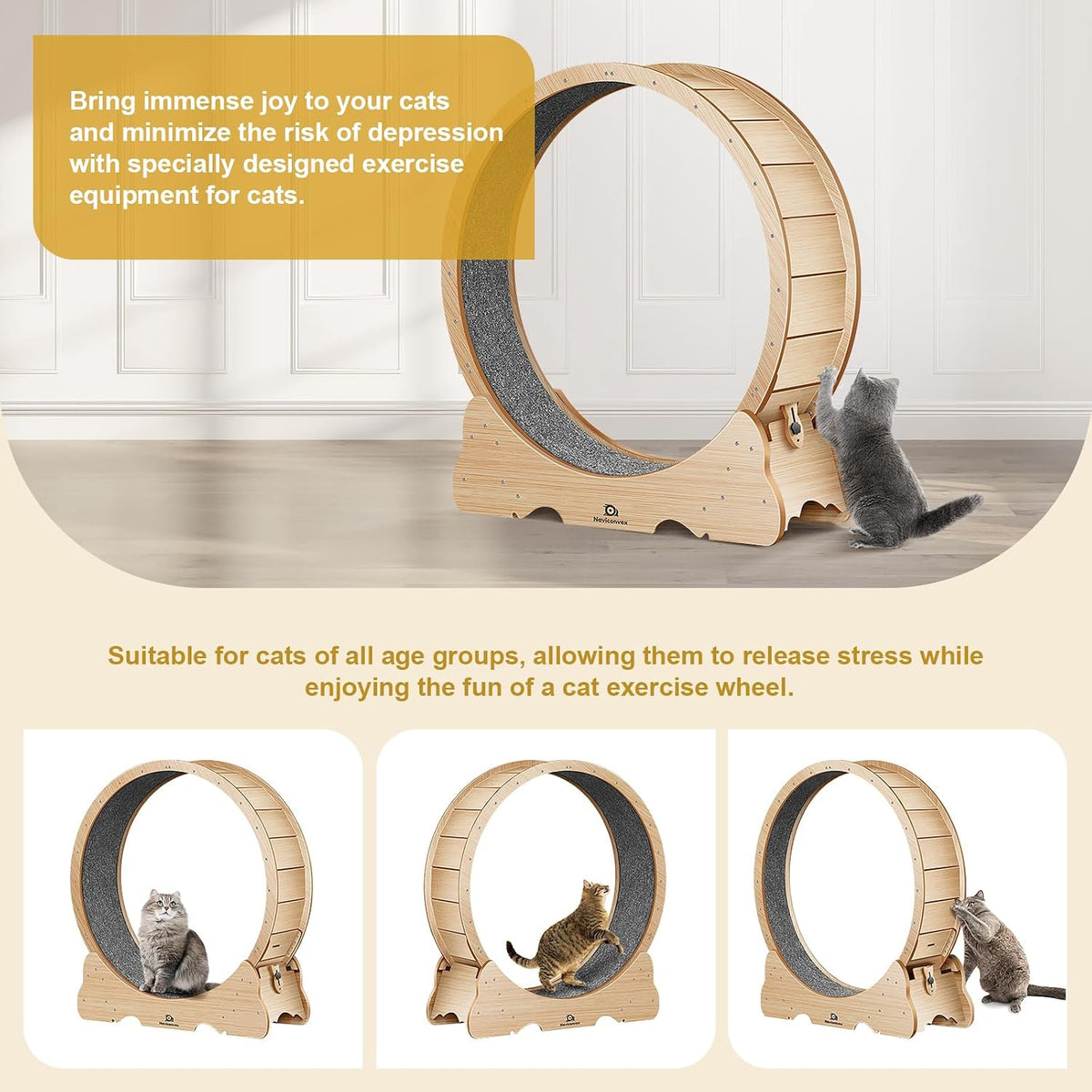 PurrTrek 48 inch Cat Exercise Wheel view 3