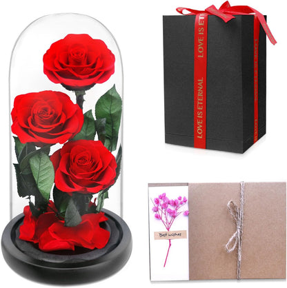 Red — 3 Roses — preserved rose in glass dome
