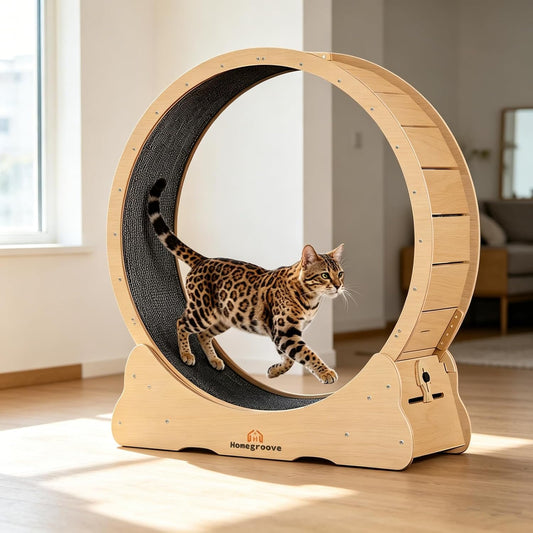PurrTrek 45 inch Cat Exercise Wheel view 1