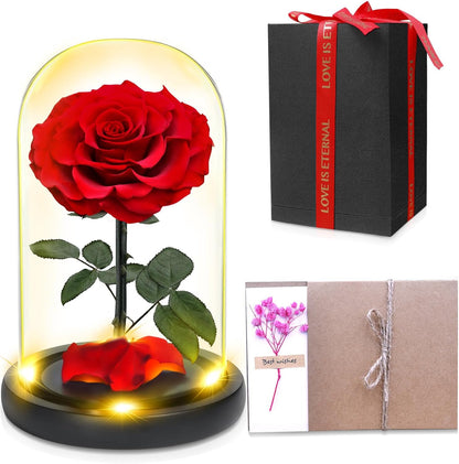 Shining Red — Single Rose — preserved rose in glass dome