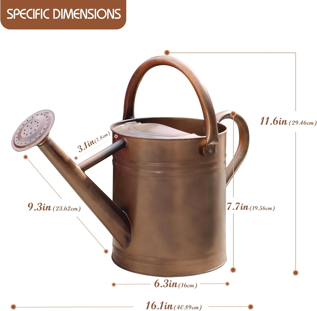 Metal Watering Can for Outdoor and Indoor Plants