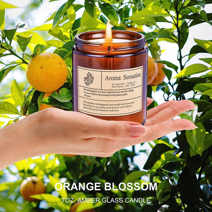 Scented Candles, Highly Scented, Natural Wax, 40 Hours Long Burning, Aromatherapy Candles with Aesthetic Amber Glass, Clean Delicate Fruity Scent for Calming & Stress Relief(Lavender Eucalyptus)