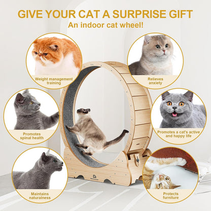 PurrTrek 48 inch Cat Exercise Wheel view 2