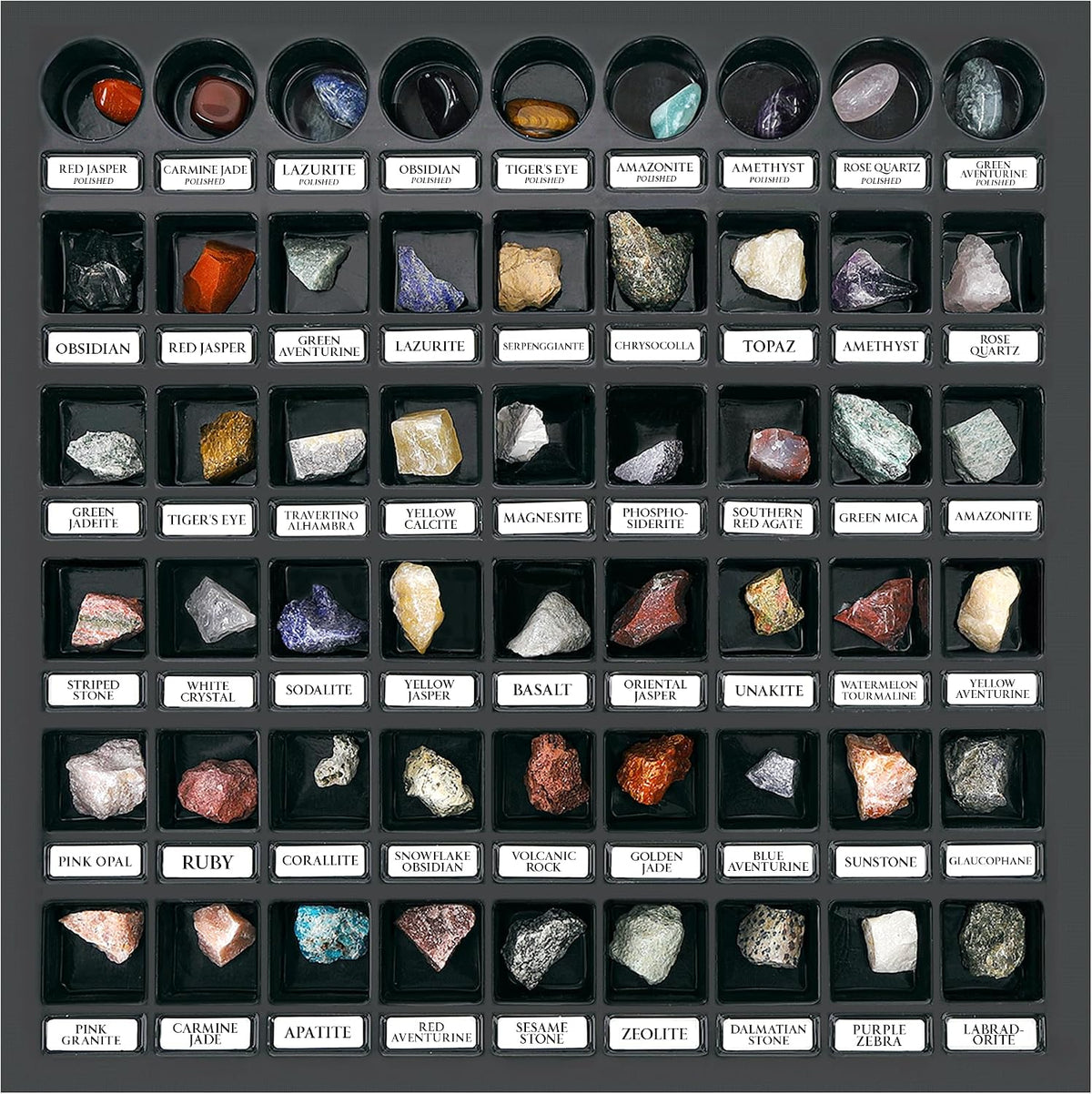 PIBEX Rock Collection Starter Kit