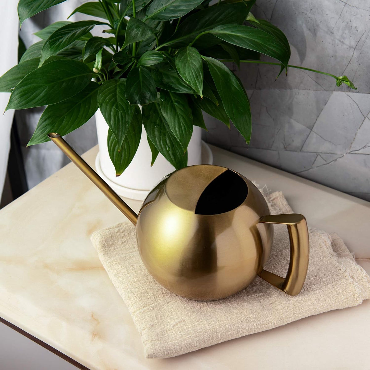 IMEEA 45oz/1.3L Watering Can Indoor Stainless Steel Watering