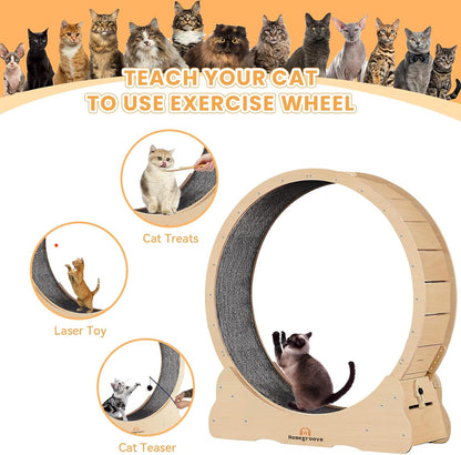 PurrTrek 45 inch Cat Exercise Wheel view 5