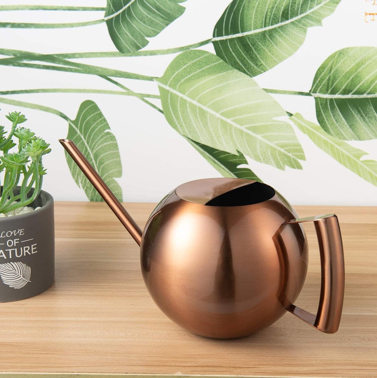 IMEEA 45oz/1.3L Watering Can Indoor for House Plants Long Sp