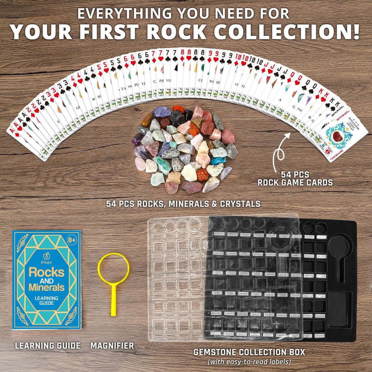 PIBEX Rock Collection Starter Kit